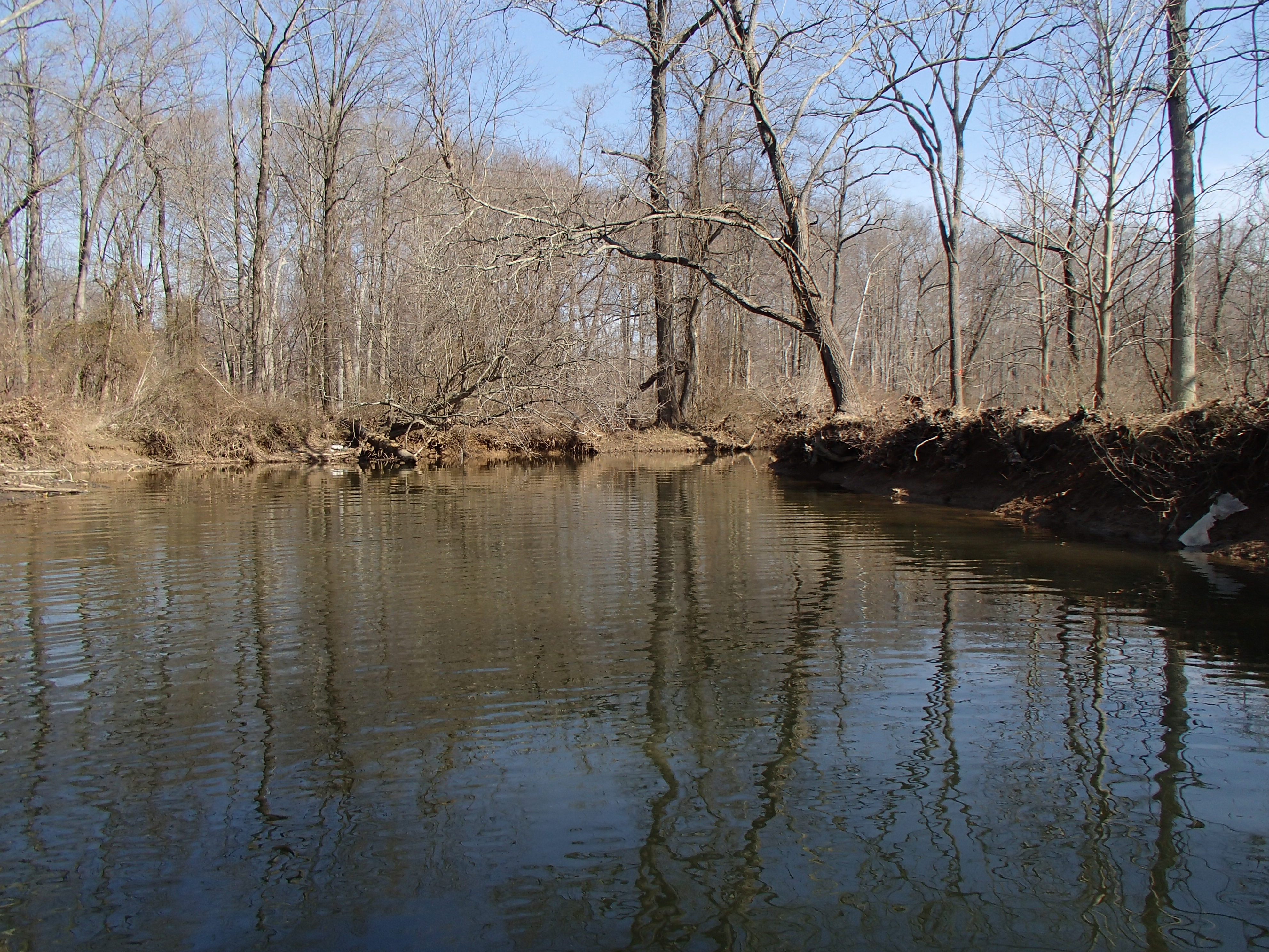 Field photo showing stream conditions at site BYNU-207-R-2016_midpoint downstream